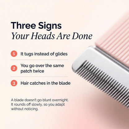 Dermave™ Trimmer 2.0 Replacement Heads